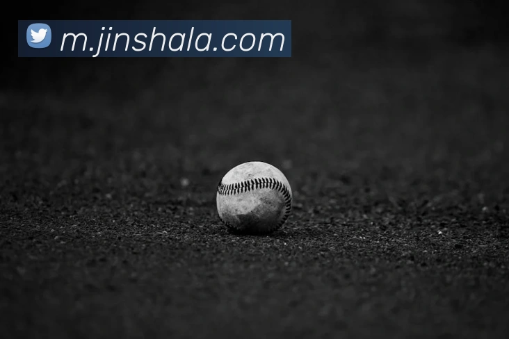 奖项证书